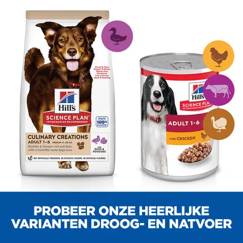 Hill's Science Plan Culinary Creations Eend En Aardappel Medium Hond 2,5kg - Afbeelding 4