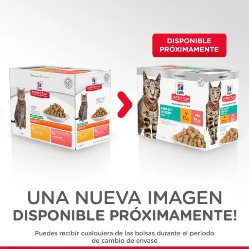 Hill's Science Plan Perfect Weight Kip & Zalm - Afbeelding 2