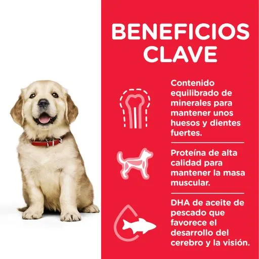 Hill's Puppy Healthy Development Large Breed Kip - Afbeelding 6