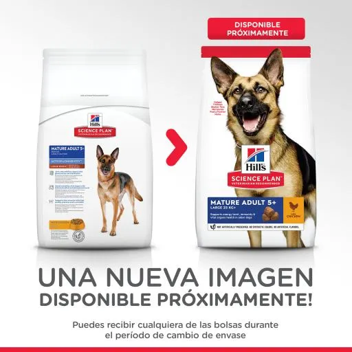 Hill's Science Plan Senior +6 Grote Kip - Afbeelding 2