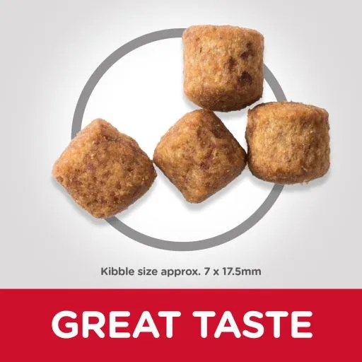 Hill's Science Plan Senior +6 Grote Kip - Afbeelding 9