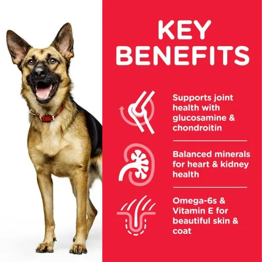 Hill's Science Plan Senior +6 Grote Kip - Afbeelding 7