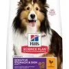Hill's Hill’s Science Plan Adult Sensitive Stomach & Skin Kip 14kg