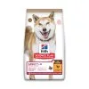 Hill's Science Plan Adult Medium No Grain - Kip -14kg