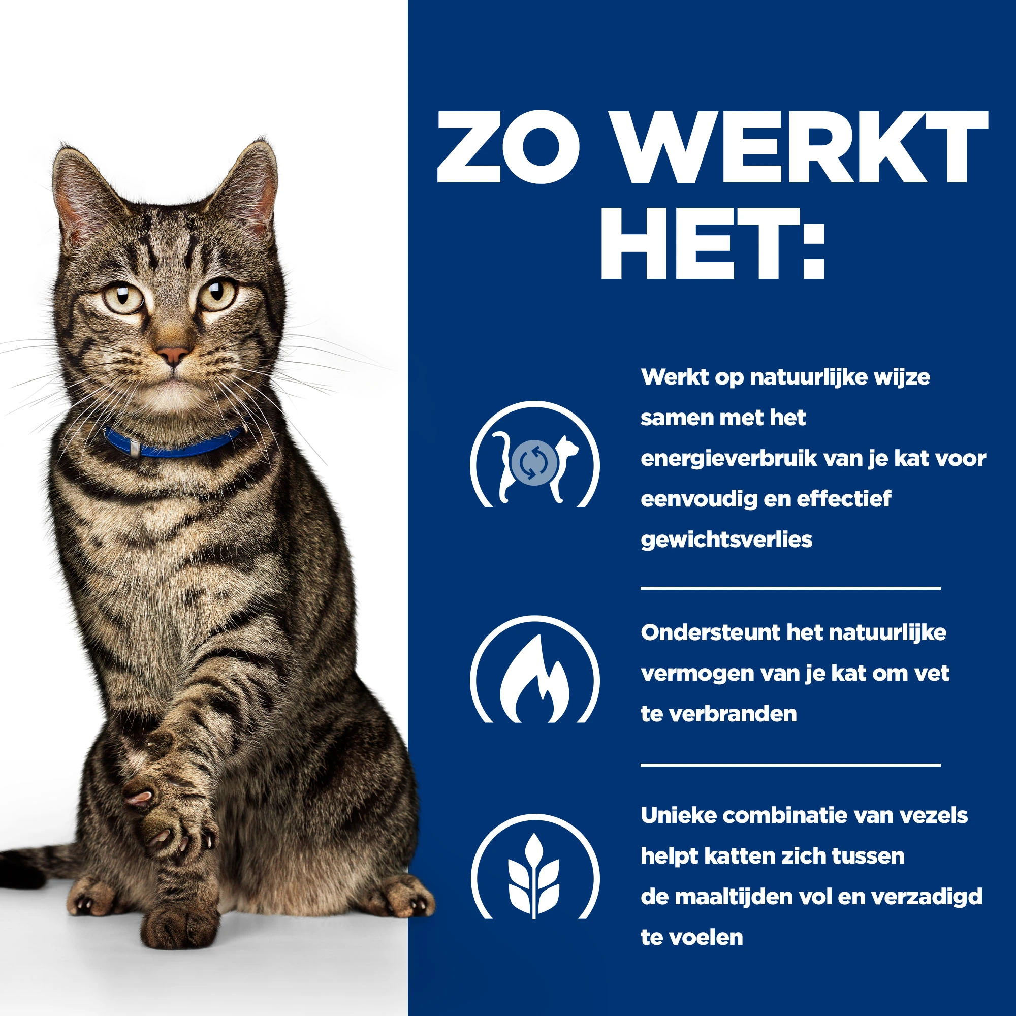 Hill's Prescription Diet Metabolic Tonijn Voor Kat 3kg - Afbeelding 3