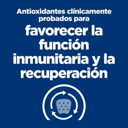 Pak 24 Hill's Feline A/d - Afbeelding 3