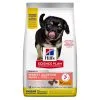 Hill's Science Plan Puppy Perfect Digestion Medium Met Kip En Bruine Rijst Hondenvoer 14kg