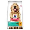 Hill's Science Plan Adult Perfect Weight Large Breed Hondenvoer Met Kip 12kg