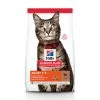 Hill's Science Plan Adult Kattenvoer Met Lam & Rijst 7kg